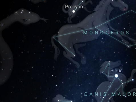  Interfaz del aplicativo móvil Stellarium. Foto: Twitter   