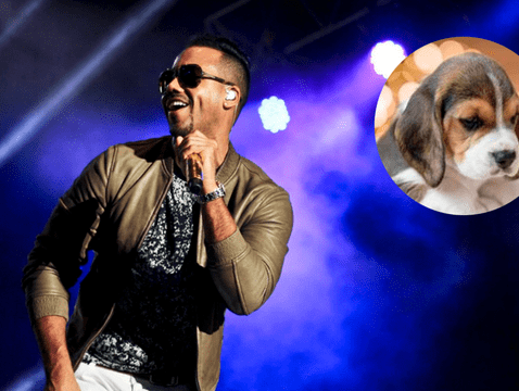   Romeo Santos artist concert raffles are for February 10th.  Photo: Mischievous Angels Hostel

    ” title=” Romeo Santos artist concert raffles are for February 10th.  Photo: Mischievous Angels Hostel

    ” height=”100%” width=”100%” loading=”lazy”/></div>
<div class=