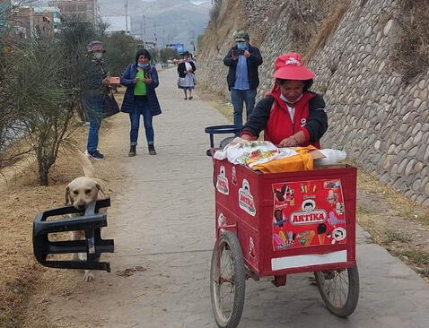 Perro se hizo viral tras ayudar en el trabajo | Foto: Twitter   