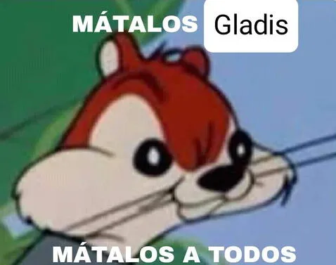 Los mejores memes de Gladys, la líder de un grupo de orcas que atacan y hunden barcos en Gibraltar