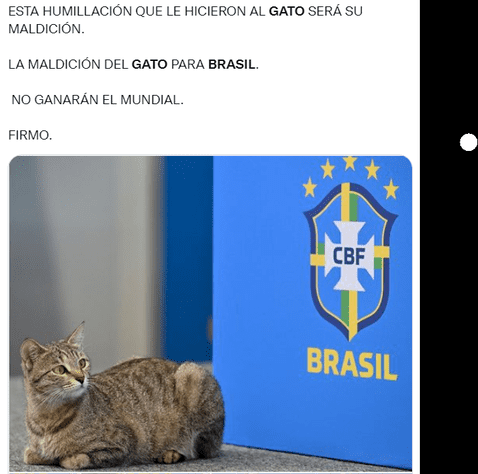 Usuarios indignados por cómo sacaron a un gato de la conferencia de prensa de Brasil: 