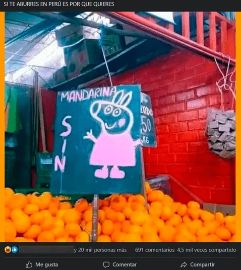 Peruano vende mandarinas con creativo cartel de Peppa Pig y se vuelve viral: 