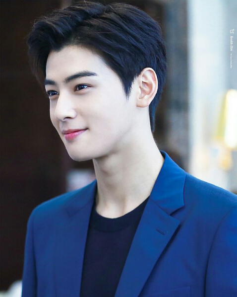 Cha Eun Woo. Foto: redbubble   