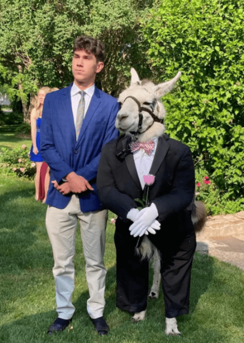 Llama padrino de boda