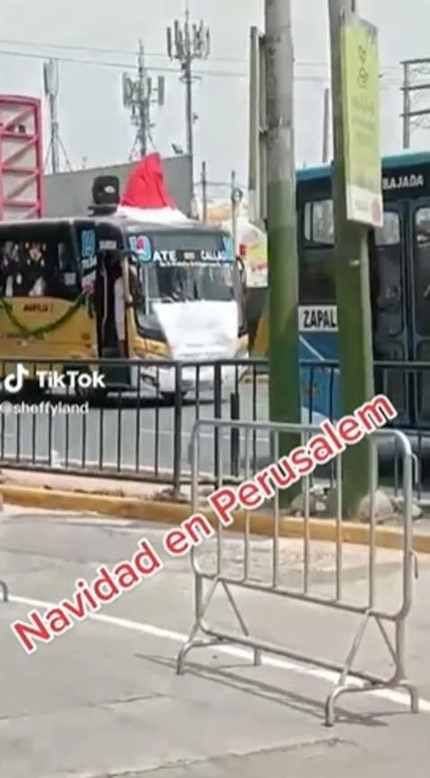 <em>Bus navideño recorre las calles de Lima. Foto: captura de TIkTok/ @sheffyland </em>   