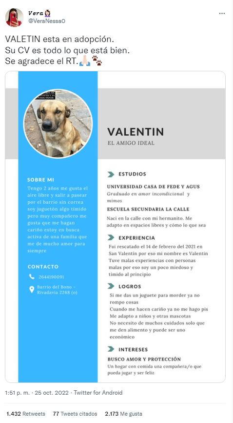 <em>Agustina aprovechó sus redes sociales para publicar el CV de su perrito. Foto: captura de Twitter</em> 