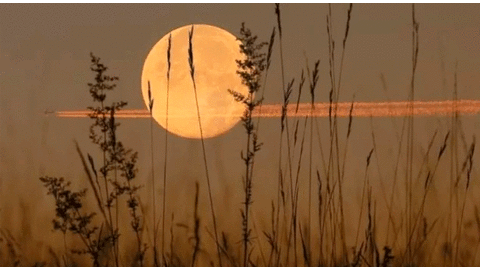 Luna de cosecha 2019: el espectacular fenómeno astronómico que puedes seguir EN VIVO hoy, viernes 13 de septiembre