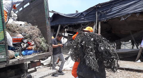 Santa Rosa: clausuran definitivamente criaderos de aves insalubres [FOTOS]