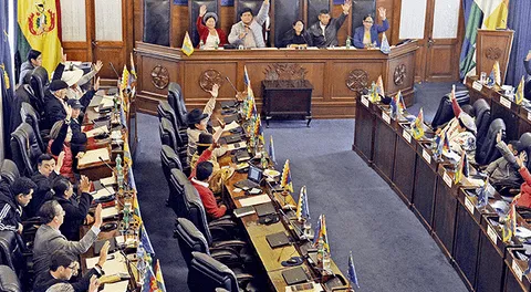 Senado aprueba proyecto para convocar nuevas elecciones sin Evo Morales