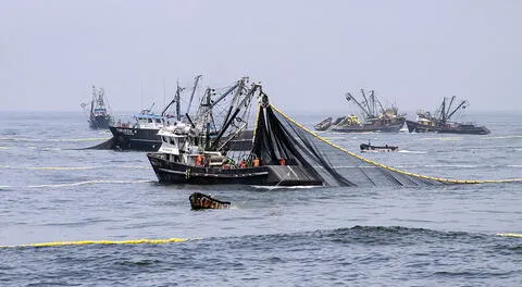 Primera temporada de pesca de anchoveta generó envíos por US$ 1.065 millones