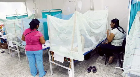 Emergencia por brote de dengue en 15 regiones: Piura es la que más preocupa