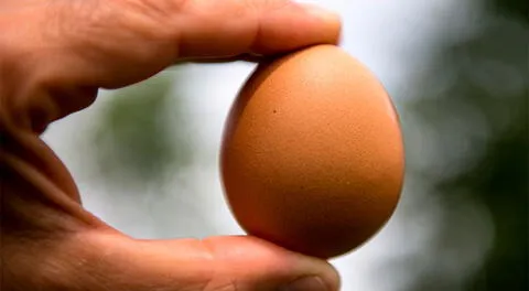 ¿Por qué razón se usa el huevo en las limpias contra las malas energías?