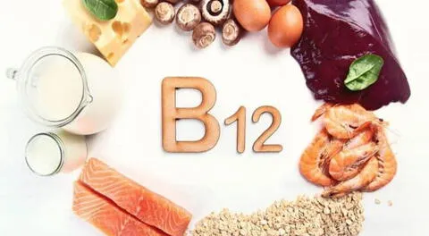 ¿Por qué la vitamina B12 es importante para la salud?