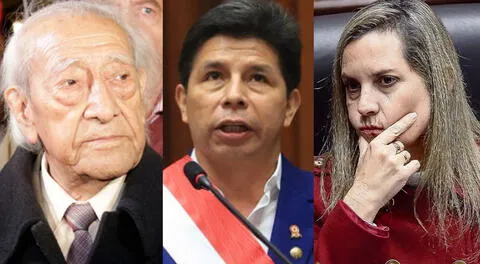 María del Carmen Alva sobre reunión entre Issac Humala y Pedro Castillo: “Es realmente sospechoso”