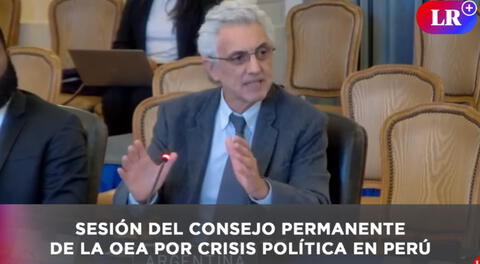 Embajador de Argentina en la OEA: La crisis se origina por la idea de país rico y pueblo pobre