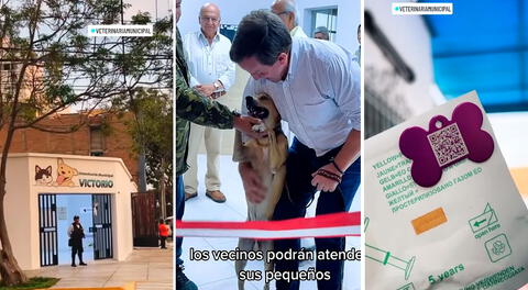 Magdalena: veterinaria municipal atenderá a costo social y registrará mascotas con microchip
