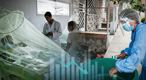 Dengue en Perú: Minsa registra 114.746 personas contagiadas con la enfermedad