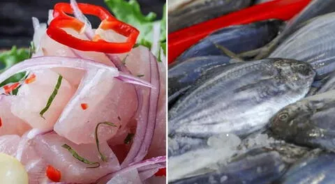 ¿Qué PESCADO se usa para preparar CEVICHE? Conoce cuáles son las MEJORES especies