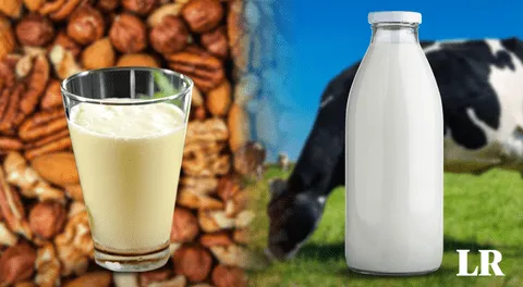 ¿La leche vegetal es capaz de sustituir a la de vaca? Estudio pone fin al debate