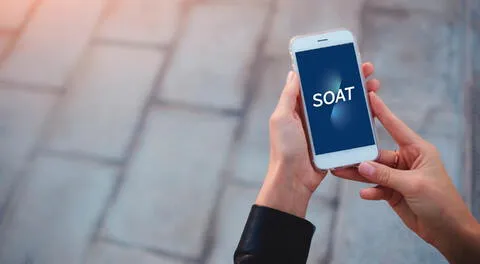 ¿Qué significa SOAT y cómo verificar el tuyo de manera virtual?