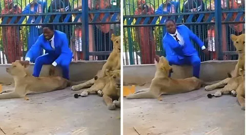 Pastor se mete a jaula con leones para recrear un pasaje bíblico y le muerden el brazo