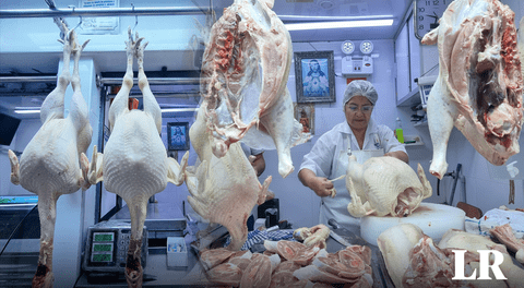 ¡Llegó el pavo!: conoce cuál es el precio de esta ave en los principales mercados de Lima