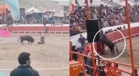 Toro se escapa del ruedo, se mete entre el público y ataca a hombre en Puno