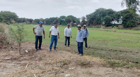 Agrobanco deberá desembolsar S/1.000 millones para agricultores en Piura: ¿a cuántos beneficiarán?
