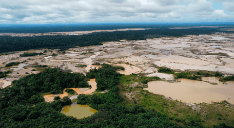 Ley Forestal. Lucila Pautrat: “Se han deforestado aproximadamente 11 millones de hectáreas a nivel nacional