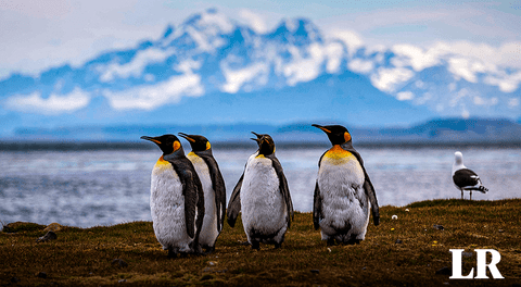 Los países de Sudamérica que reclaman la soberanía de la Antártida
