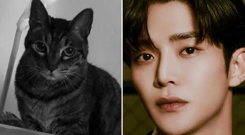 Rowoon le dice adiós a su gato tras 18 años juntos: "Cuando llegue mi hora ven a mi encuentro"