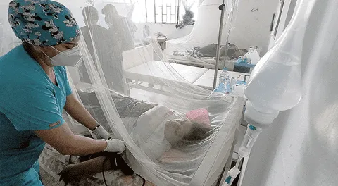 El dengue no se detiene: van más de 24.000 casos y 28 muertos