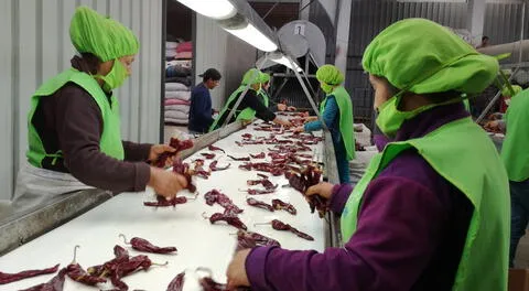 Se perdieron 200.000 empleos en el sector exportación durante 2023