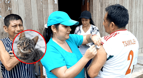 Caso de rabia en Amazonas: 2 niñas mueren tras ser mordidas por gato callejero