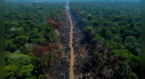 "No solo es la deforestación": ¿por qué la Amazonía peruana se acerca a un 'punto de no retorno'?