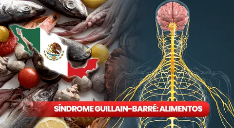 Síndrome de Guillain-Barré en México 2024: ¿cuáles son las posibles causas de esta enfermedad?