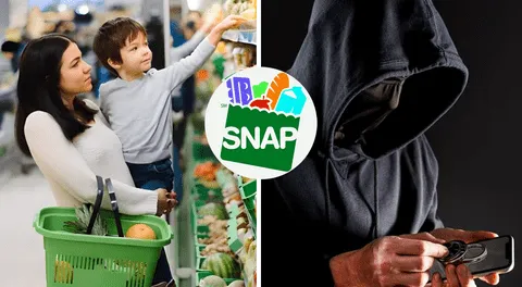 SNAP 2024: ¿Qué hacer si eres víctima de una estafa con los cupones de alimentos en Estados Unidos?