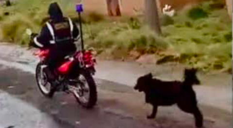 Puno: sereno amarra a un perrito herido a su moto y lo arrastra por calles de la ciudad