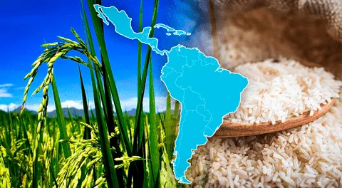 Descubre el país de América Latina que consume más arroz: no es Perú ni Argentina