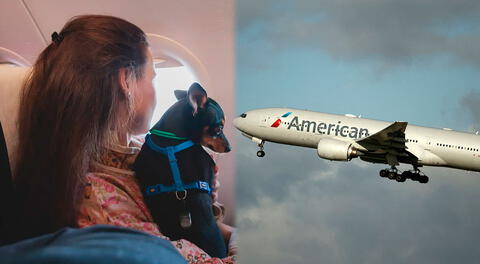 American Airlines anuncia cambios en los viajes con mascotas: entérate de las nuevas tarifas en Colombia