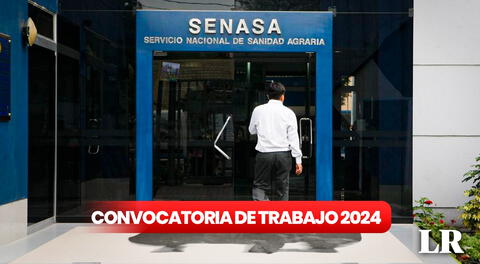 ¡Trabaja en Lima, Arequipa, Loreto y más! Senasa ofrece 98 empleos con sueldos desde S/2.314