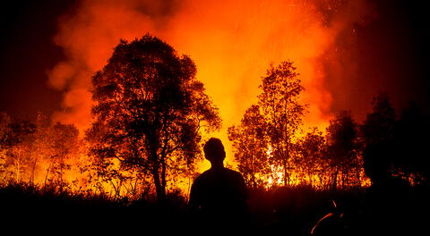 Incendios forestales en Venezuela: NASA muestra la magnitud de los siniestros
