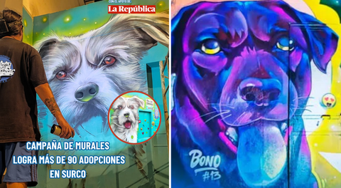 Iniciativa de ONG Buena causa logró más de 90 adopciones de mascotas en Surco con campaña de murales