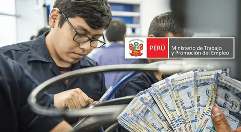 Descubre la carrera técnica más solicitada en Perú este 2024, según MTPE: se puede estudiar GRATIS