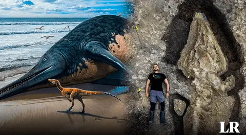 Descubren fósil del reptil marino más grande del mundo en Inglaterra gracias a niña de 11 años