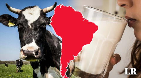 El país de Sudamérica con mayor consumo de leche de vaca: es el quinto en todo el mundo