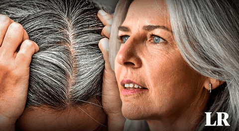 ¡Adiós a las canas! Estudio científico revela cómo revertir el color blanco en el cabello, descubre la solución