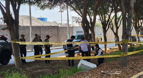 Santa Anita: hallan cuerpo de mujer asesinada cerca de zona industrial