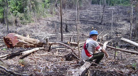 El 90% de las actividades económicas en la Amazonía son ilegales