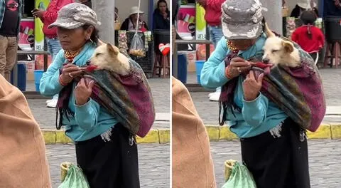 Mujer enternece las redes al cargar a su perrito en una manta: "Amor incondicional"